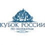 Кубок России 2011